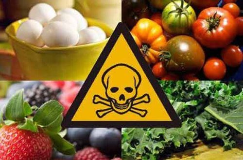 contaminations des aliments